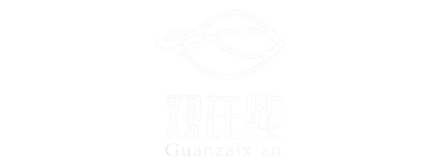 MUSE Design Awards Partner - Guanzaixian 观在线