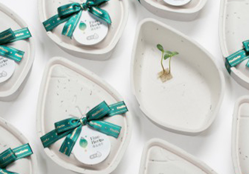 MUSE Packaging Design Winner - New Hope Seed Brand Gift Box