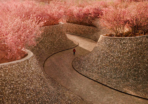 MUSE Design Awards - Bailuwan Cherry Blossom Town, Rizhao