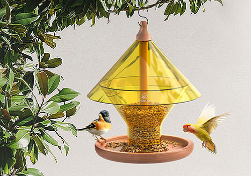 MUSE Design Awards - Rainproof colored transparent bird feeder