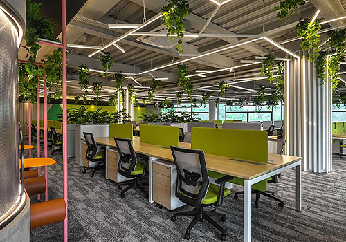 MUSE Design Awards - Energetic Office Space With Eco-Friendly Charm