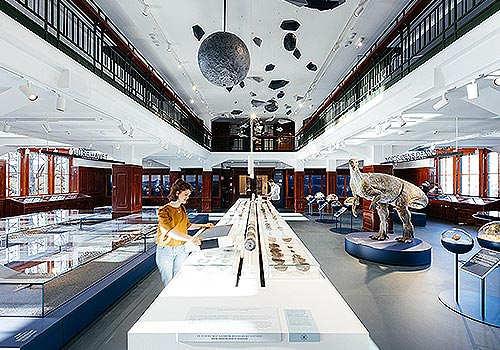 MUSE Design Awards - Natural History Museum, Oslo