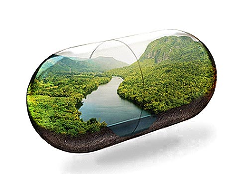 MUSE Design Awards Winner - : Sustainable Biocapsules - Transforming Waste into Tress by Ambipar Environment