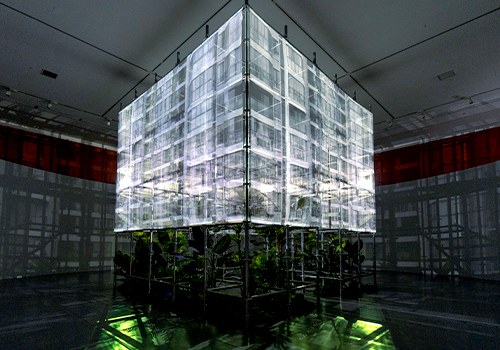 MUSE Design Awards Winner - WEIGHTLESSNESS - Wuhan Biennale 2022 by Central China Normal University