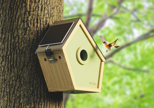 MUSE Design Awards Winner - Reli Birddy Smart Bird House by Reli Technologies LLC