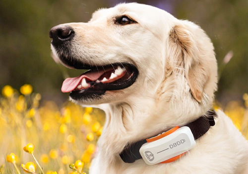 MUSE Design Awards Winner - DBDD GPS Tracker for Dogs by Hangzhou Qianwan Technology Co., Ltd