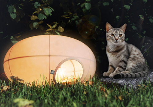 MUSE Design Awards Winner - Cattern by Beijing Institutre of Technology