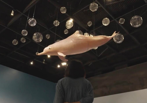 MUSE Design Awards - The “Climate Action—Our Future Our Choice” Exhibition