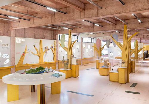 MUSE Design Awards Winner - The Bird Life Cycle Science Popularization Base in Lishui by 牛油果设计NYGDESIGN / 千鹦鸟舍PAPAGO LAND