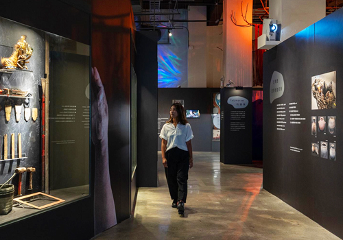 MUSE Design Awards - Master of the Arts
