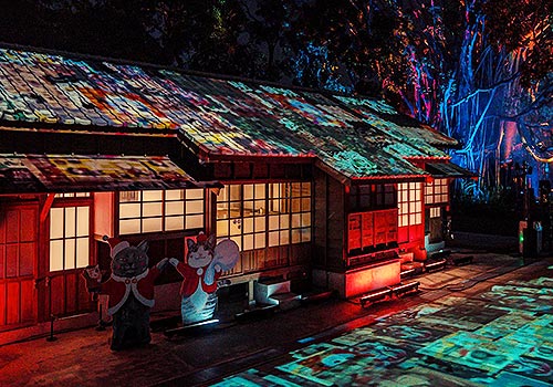 MUSE Design Awards - 《Glow of the Centennial Banyan》