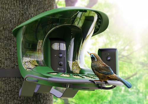 MUSE Design Awards Winner - Birdfy Feeder 2 Duo by Netvue Technologies Co.,Ltd. 