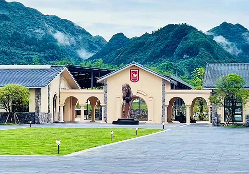 MUSE Design Awards - China Fairy Mountain 1003 POLO CLUB Women's Polo Club