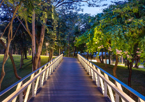 MUSE Design Awards - A Bridge in the Woods