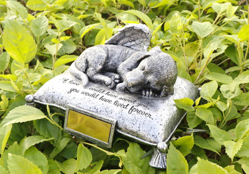 MUSE Design Awards - Statue of dog sleep on pillow