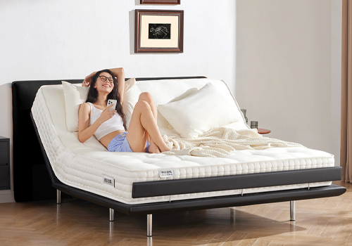 MUSE Design Awards Winner - beyondBED-Dark Choco Smart Bed by Shanghai Home Upgrade Network Technology Co., Limited