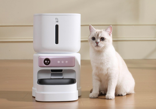 MUSE Design Awards - PetCarer