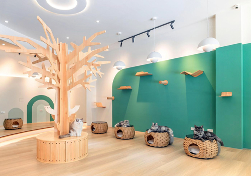 MUSE Design Awards - Meow Me Café