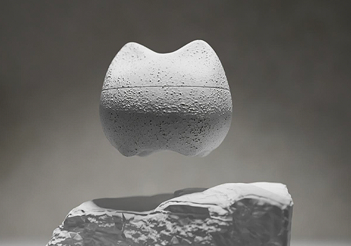 MUSE Design Awards - Pet the head
