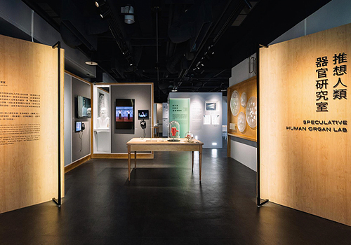 MUSE Design Awards - School of the End of the World