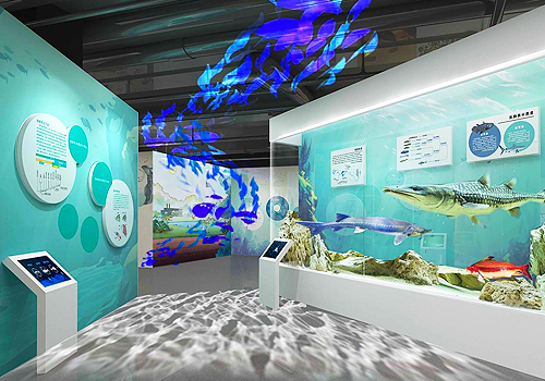 MUSE Design Awards Winner - Museum of Life Sciences by Echoscape