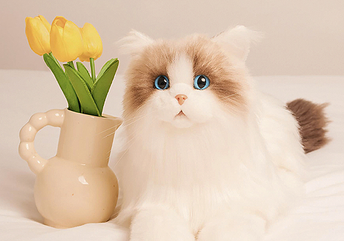 MUSE Design Awards - Mate Cat