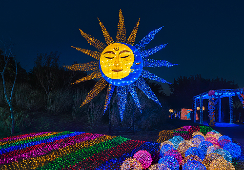 MUSE Design Awards - 2025 Central Taiwan Lantern Festival【Ocean Explore Zone】