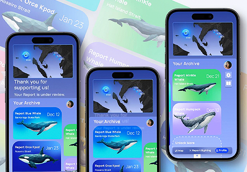 MUSE Design Awards - Whale Trails: AI-Powered Whale Sightings