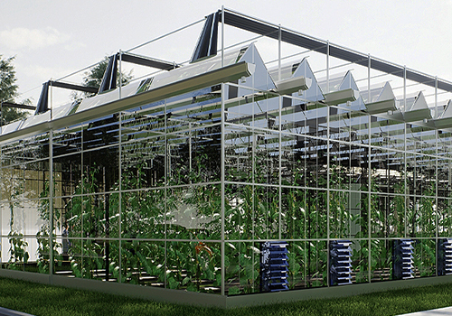 MUSE Design Awards - Agrisense Smart Radish Greenhouse