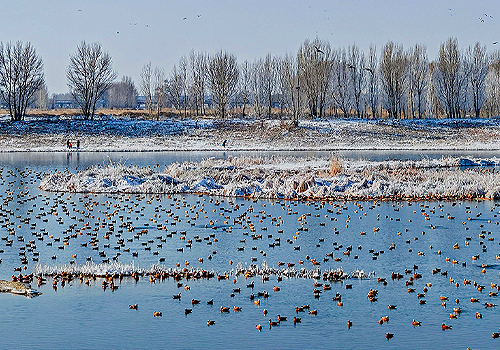 MUSE Design Awards - Ecological Restoration of Daheihe River in Inner Mongolia