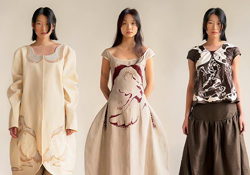 MUSE Design Awards - Raised By A Swan 