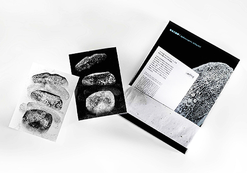 MUSE Design Awards - Remnant Scale