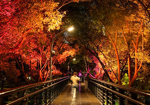 MUSE Design Awards - Healthy lighting and light pollution prevention in Xujiahui