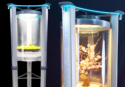 MUSE Design Awards - MUSUHI – A Spatial Installation of Nature and Stillness