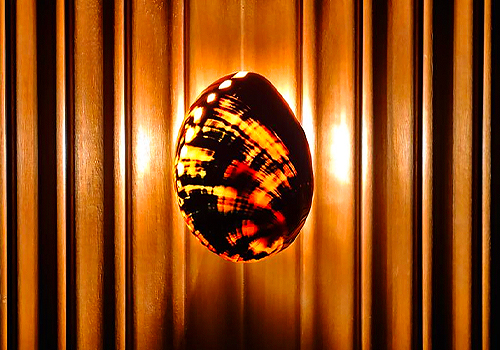 MUSE Design Awards - Shell Lamp