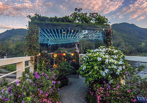 MUSE Design Awards - 2025 Let’s Go Bloom-Wanjin Azalea