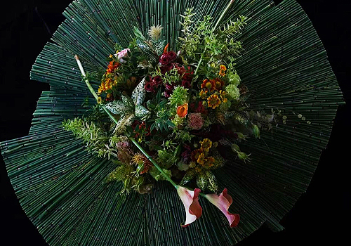 MUSE Conceptual Design Winner - 《A Feast of Installation Art with Bamboo and Blossoms》 by Wang Qing