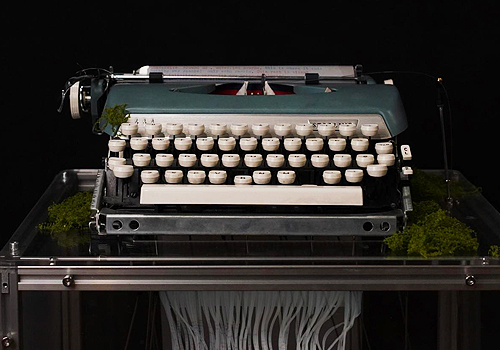 MUSE Design Awards - Type & Fade