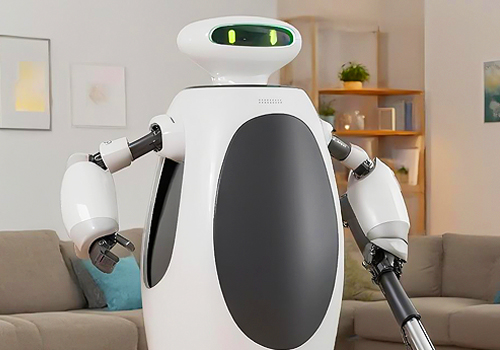 MUSE Design Awards - Elderly companion robots