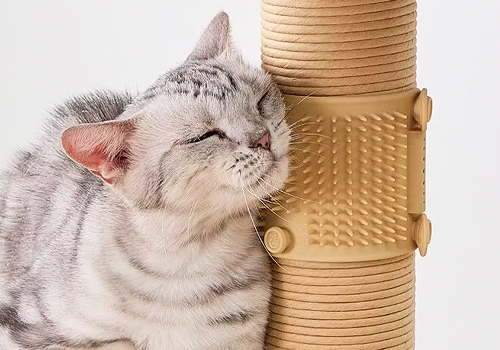 MUSE Design Awards Winner - Anywhere Massager by PetPals Group Inc.