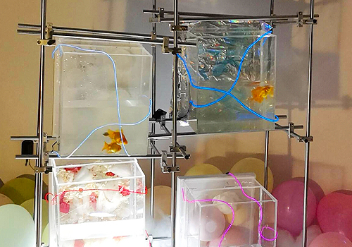 MUSE Design Awards - The Fabricated 'Beloved': Dream-Girl Intimacy Architecture