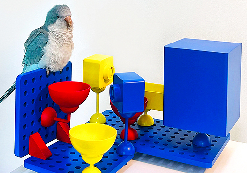 MUSE Design Awards Winner - Birdy Plat by Birdy Plat Design Team