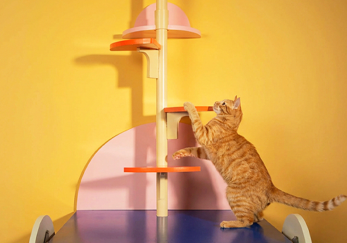 MUSE Design Awards Winner - Shed or Tree