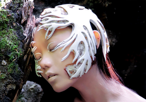 MUSE Design Awards Winner - Life after death