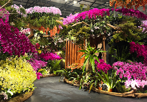 MUSE Design Awards Winner - 綻放臺灣Blooming Taiwan