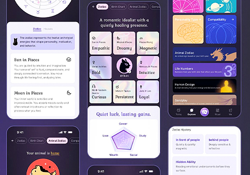 MUSE Design Awards Winner - Felis.AI - Emotional Rituals for Everyday