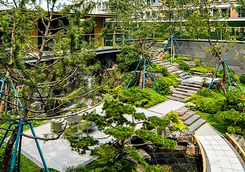 MUSE Design Awards Winner - Graceful Park