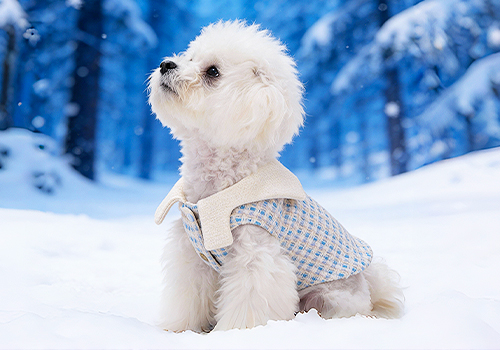 MUSE Design Awards Winner - LULUVIA