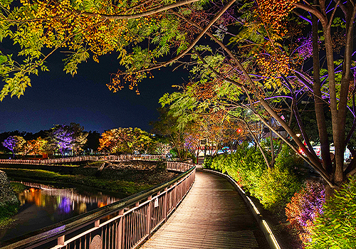MUSE Design Awards Winner - Yunlin Creek Phase II - Drifting Light and Shadows 