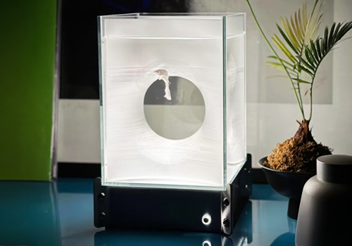2026 MUSE Design Awards Winner - SYMBIOSIS DUO AQUARIUM by YUANATMAN